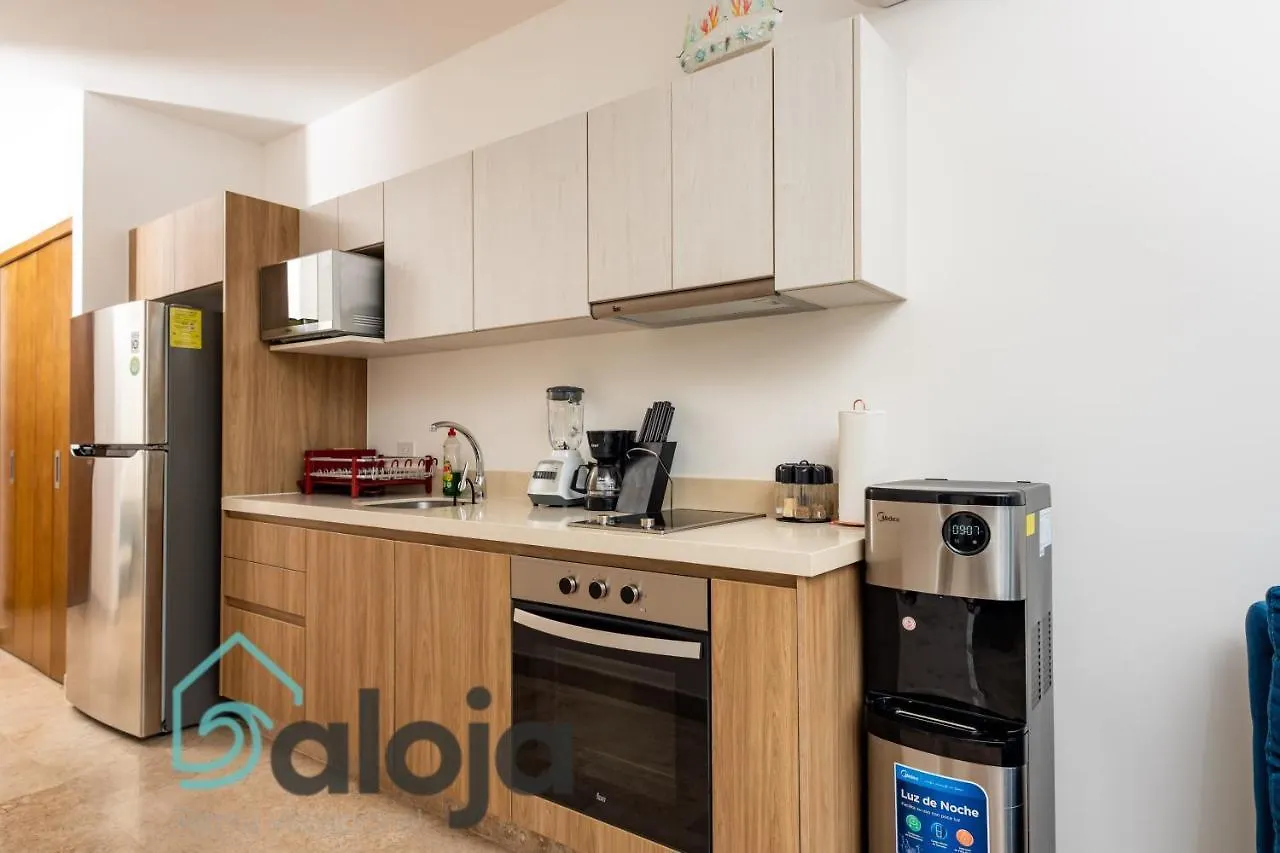 Ipana Condo Unos Pasos De 5Ta Avenida Playa del Carmen Apartmán